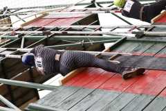 IMG-20230729-WA0037