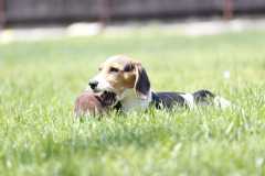 IMG-20230729-WA0049