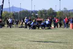 IMG-20230729-WA0052