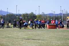 IMG-20230729-WA0053