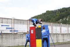 IMG-20230729-WA0081