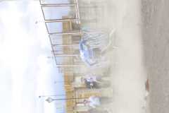IMG-20230729-WA0108