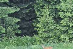 93ade722-12ab-47f5-bc37-e308aaff9066